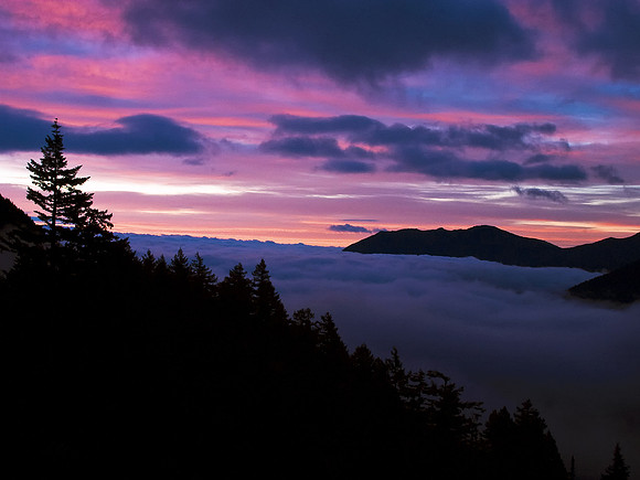 Olympic Sunrise