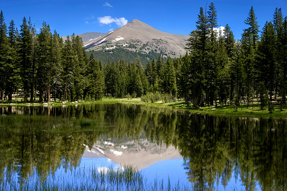 Yosemite Reflection