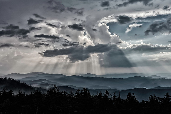 Smoky Glory
