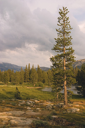 Peaceful Yosemite