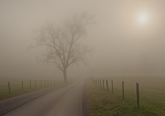 Country Sunrise