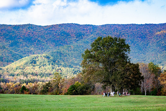 Wedding in Cades Cove