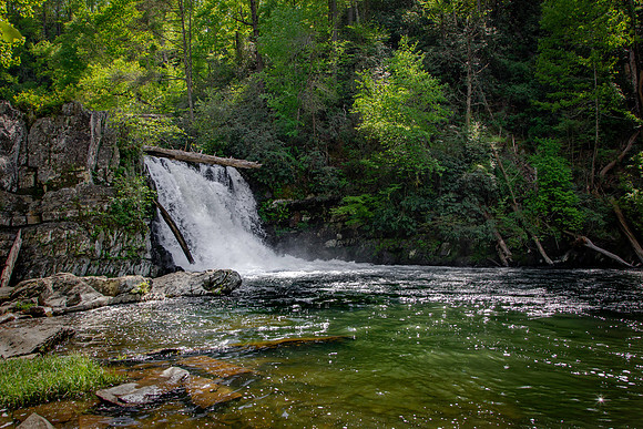 Abrams Creek Falls