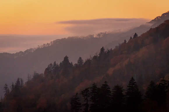 Sunset Hills