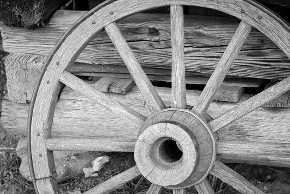 The Spare