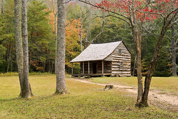 Carter Shield's Cabin