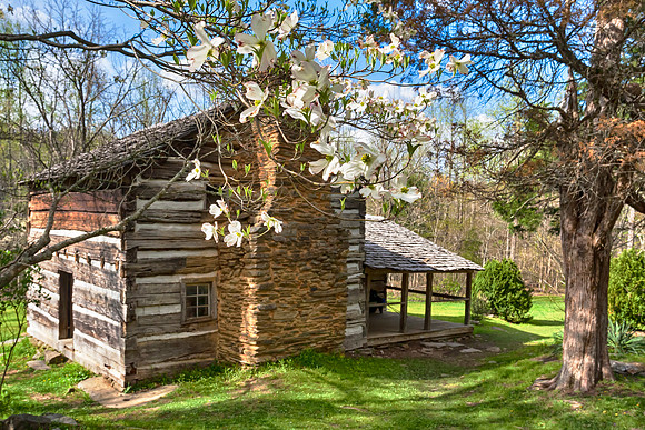 Spring Home