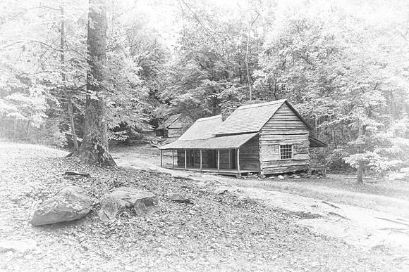 Bud Ogle's Cabin
