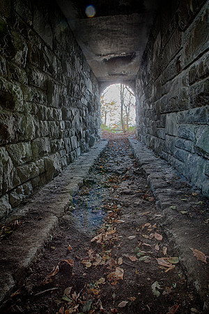 Step into the Light