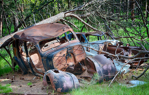 A Wreck in the Woods