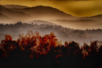 Mountain Fire