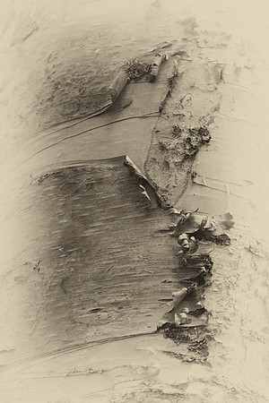 Apeeling