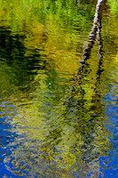 Reflections