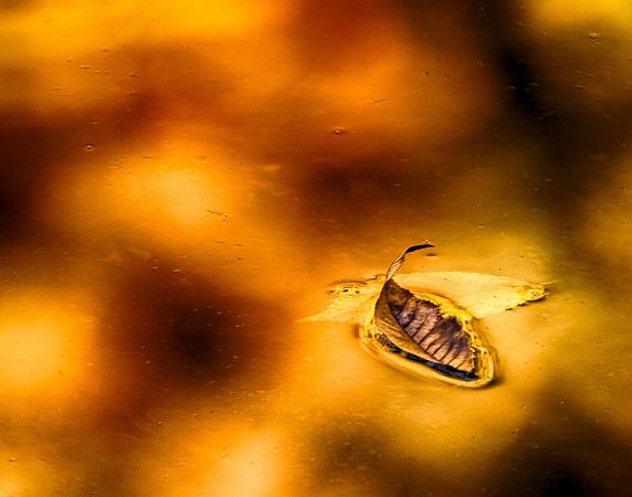 Firewater