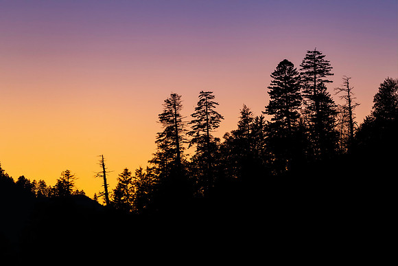 Sunset Ridge