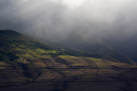 Morning Mist over Maui