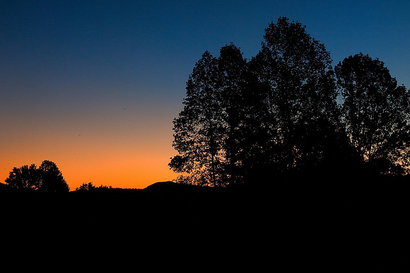 Cade's Cove Silhouette