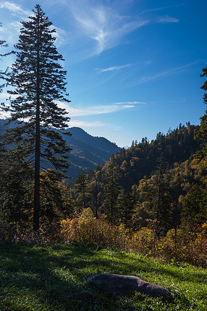Peaceful Vista