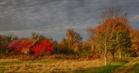 Autumn Morning in Missouri  2