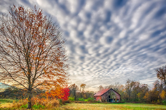 Autumn Morning in Missouri  1