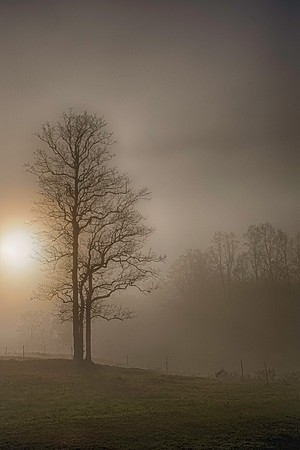 Smoky Sunrise