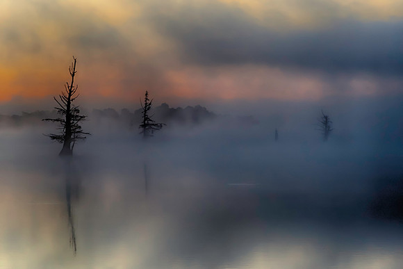 Morning Mist