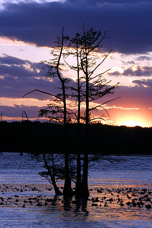 Sunset at Duck Creek
