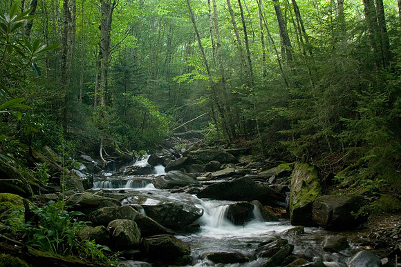 Spring Stream