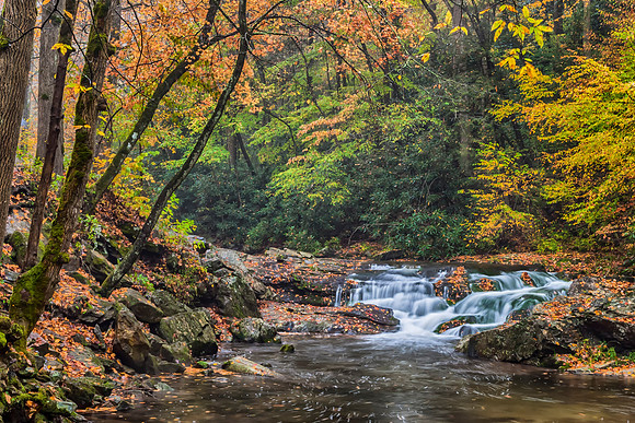 Smoky Mountain Stream