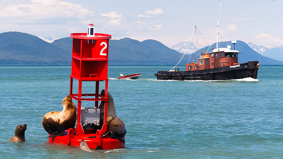 King of the Buoy