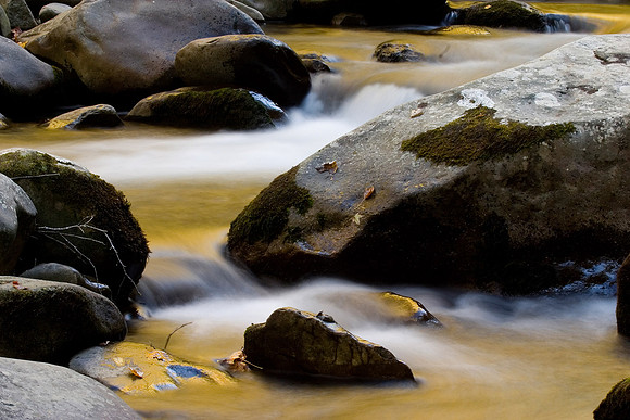 Greensbriar Gold Stream