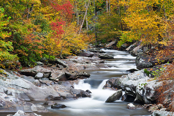 Smoky Mountain Stream