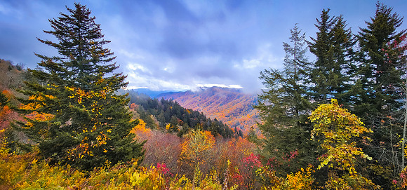 Autumn at Newfound Gap 1