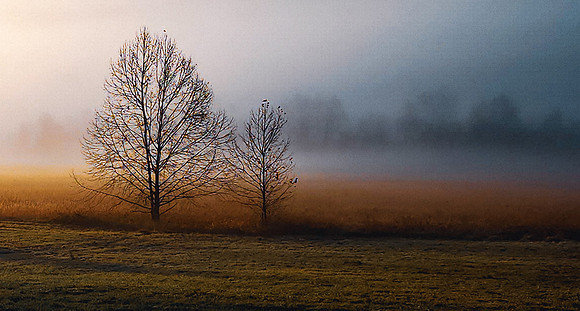Morning in Cade's Cove 2