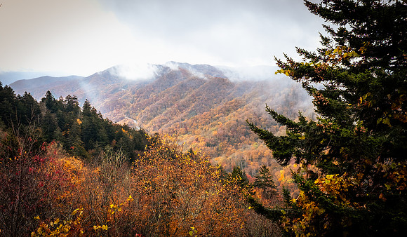 Autumn at Newfound Gap 1