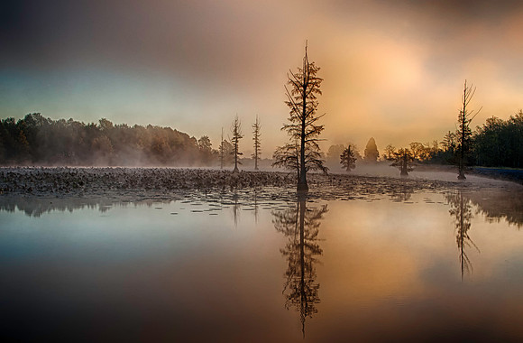 Sunrise at Mermet Lake