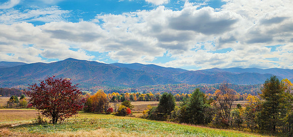 Sunny Day in Cade's Cove